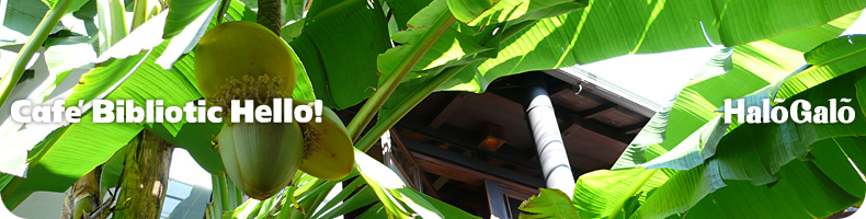 Slideshow Image 3